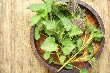 Taze ısırgan otu yaprakları ahşap masada