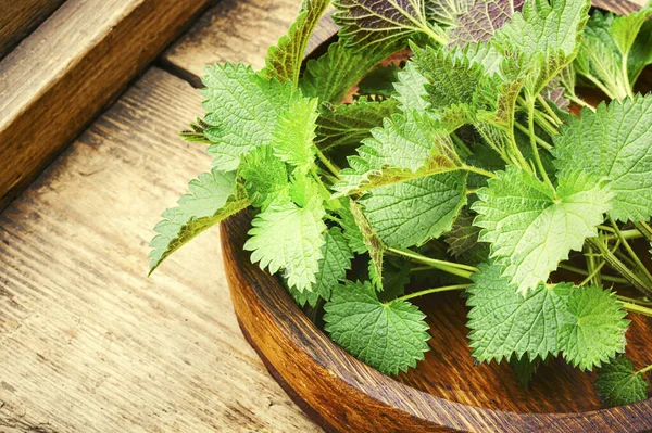 Verse Brandnetelblaadjes Houten Tafel Medicinale Plant — Stockfoto