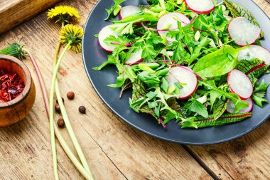Turp, ısırgan otu, kuş ve karahindiba salatası. Yeşillikli taze salata tabağı.