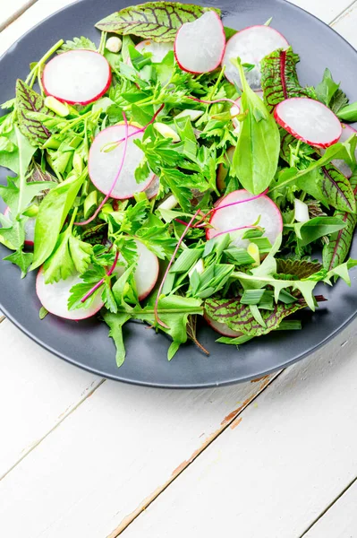 Verse Salade Met Gemengde Groenten Spring Salade Met Radijs Groenten — Stockfoto