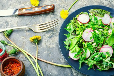 Turp, ısırgan otu, kuş ve karahindiba salatası. Yeşillikli taze salata tabağı.