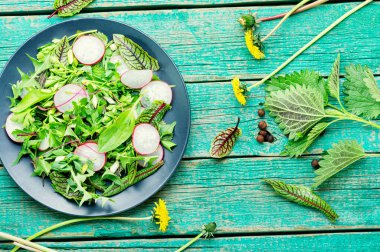 Turp, ısırgan otu, kuş ve karahindiba salatası.
