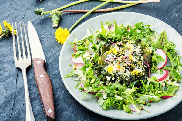 Salat Aus Algen Löwenzahnblättern Radieschen Und Sesam — Stockfoto