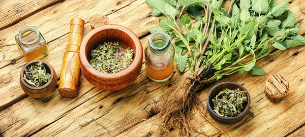 Färsk Citronmeliss Buske Torkade Melissablad Och Medicinskt Elixir Naturmedicin Örter — Stockfoto