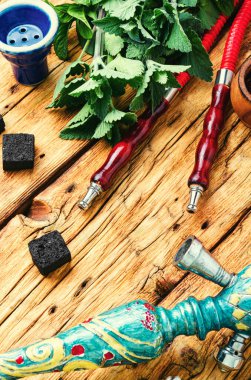 Nane aromalı oryantal tütün shisha. Türk tütün nargilesi..