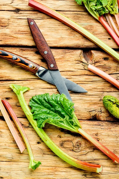 Tige Rhubarbe Fraîche Sur Une Vieille Table Bois — Photo