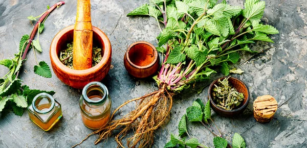 Taze Limon Merhemi Kurutulmuş Melissa Yaprakları Ilaç Tentürleri Şifalı Bitkiler — Stok fotoğraf