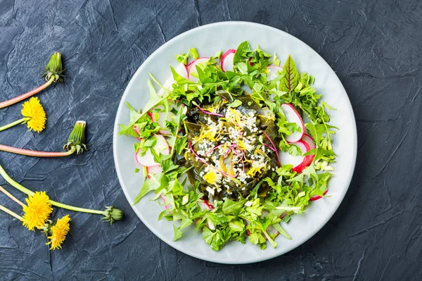 Salade Algues Herbes Graines Sésame Radis Salade Verte Fraîche — Photo