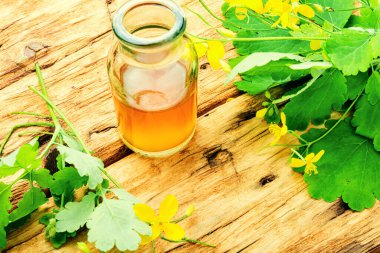 Celandine bitkisinden tütsü ya da özü. Şifalı bitkiler.