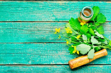 Bir Celandine bitkisinden özü ya da tütünü çıkar. Şifalı bitkiler..