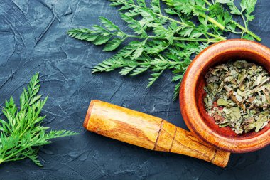 Bitkisel ilaçlardaki yabani havuçların iyileştirici özellikleri. Taze ilaç, şifalı bitkiler..