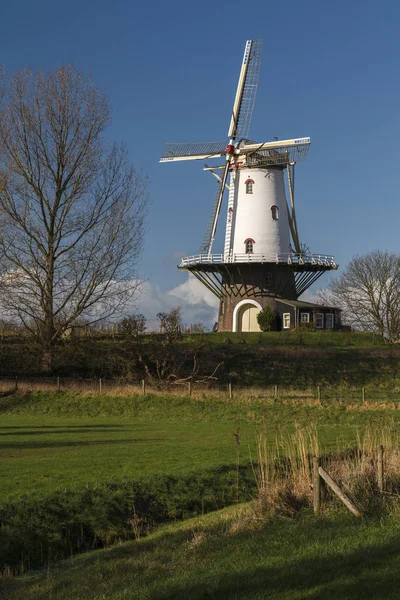 White windmill in Veere 1 — Stock Photo, Image