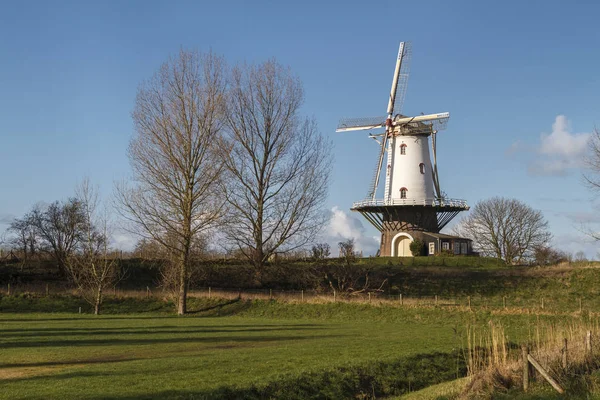 White windmill in Veere 2 — Stock Photo, Image