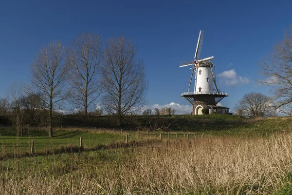 White windmill in Veere 4 — Stock Photo, Image