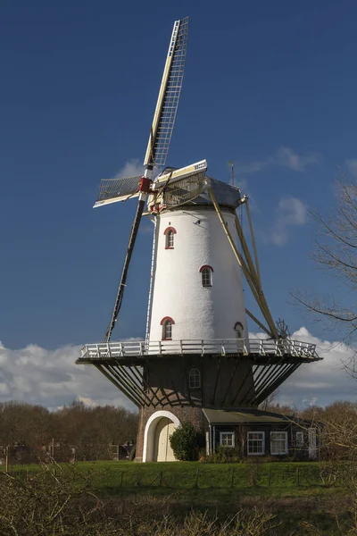 White windmill in Veere 5 — Stock Photo, Image