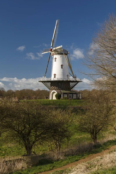 White windmill in Veere 6 — Stock Photo, Image