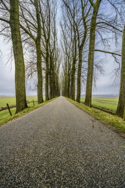 Sonsuz yol iki