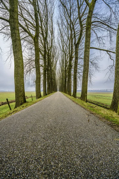 Strada infinita due — Foto Stock