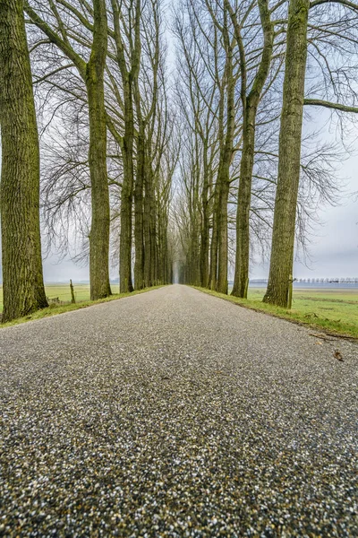 Strada infinita sei — Foto Stock