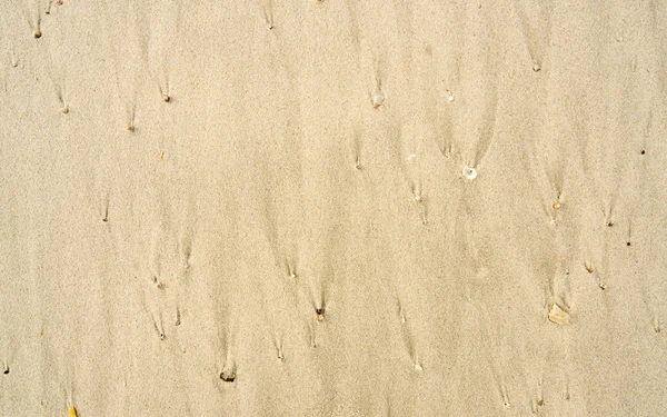 Motifs répétés dans le sable 2 — Photo