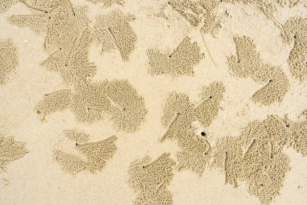 Krabba hål bakgrund 1 — Stockfoto