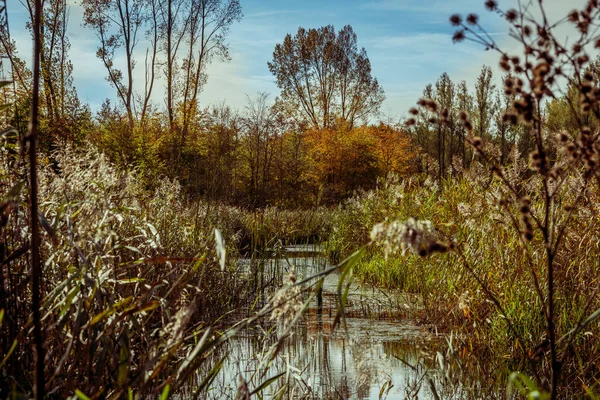 Slunečné svěží podzimní ráno — Stock fotografie