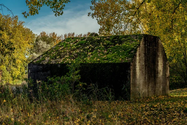 Overgrown refugio de bomba holandesa — Foto de Stock