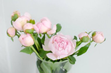 Hafif, açık pembe şakayıklar gün ışığında masanın üzerindeki cam vazoda..