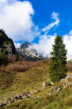 Tirol Avusturya 'da Wilder Kaiser 