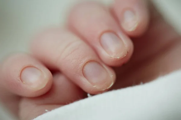 Újszülött ujjak — Stock Fotó