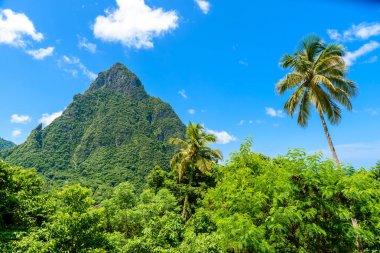 Alt görünümü Petit sikkesine ve Gros Caribbean üzerinde ada Saint Lucia.