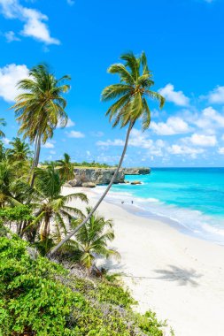 Paradise beach Barbados Adası, alt Bay, Barbados, Caribbean.
