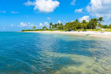 Sombrero Beach yosunlar Florida Keys, Marathon, Florida, ABD ile.