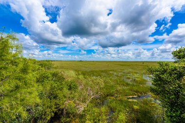 Pa-Hay-yeter gözcü Kulesi Everglades Ulusal Park, Florida, ABD görünümünden.