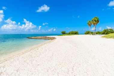 Issız Sombrero Beach Florida Keys, Marathon, Florida, ABD palmiye ağaçlarının ile.