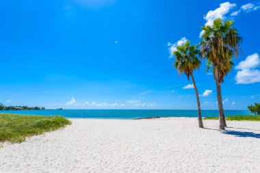 Issız Sombrero Beach Florida Keys, Marathon, Florida, ABD palmiye ağaçlarının ile.