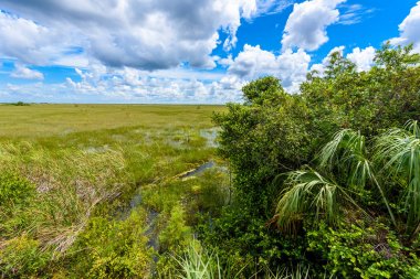 Pa-Hay-yeter gözcü Kulesi Everglades Ulusal Park, Florida, ABD görünümünden.