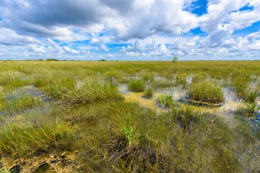 Pa-Hay-yeter gözcü Kulesi Everglades Ulusal Park, Florida, ABD görünümünden.