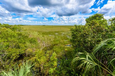Pa-Hay-yeter gözcü Kulesi Everglades Ulusal Park, Florida, ABD görünümünden.