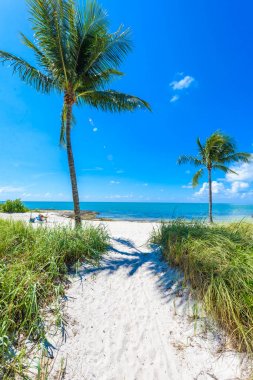Florida Keys Marathon, Florida, ABD Sombrero Plajı'na giden yol.