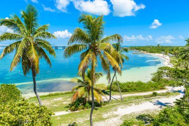 Calusa Beach, Florida Keys, Florida, ABD avuç içi ile tropik sahil.