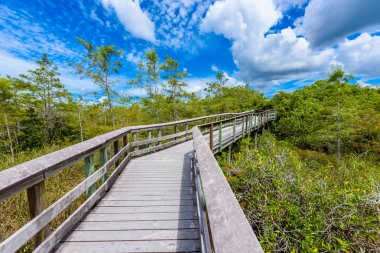 Everglades Ulusal Park, Florida, ABD iz PA-Hay-yeter.