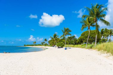 Sombrero Beach Florida Keys Marathon, Florida, ABD palmiye ağaçlarının ile. Tropikal ve cennet hedef tatil için.