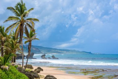 Bathsheba Beach, Doğu sahilleri Barbados Adası, Caribbean, zengin bitki örtüsü.
