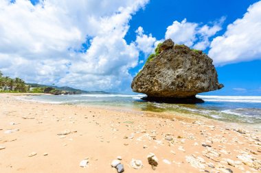Rock formation on beach of Bathsheba, East coast of Barbados island, Caribbean. clipart