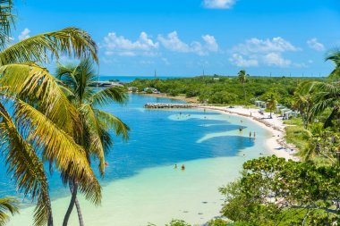 Calusa Beach, Florida Keys, Florida, ABD avuç içi ile tropik sahil.