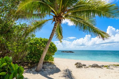 Rahat Paradise beach Park'ta Fort Zachary Taylor, Key West, Florida, ABD.