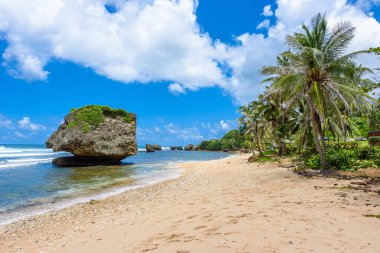Plaj, Bathsheba, Doğu sahil Barbados Adası, Caribbean üzerinde büyük taşlar.