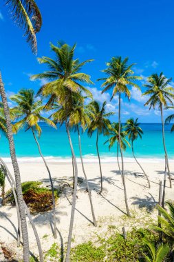 Cennet plaj Barbados Adası, alt Bay, Barbados, Karayip doğal görünümü.