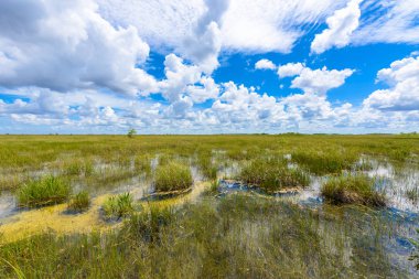 Pa-Hay-yeter gözcü Kulesi Everglades Ulusal Park, Florida, ABD görünümünden.
